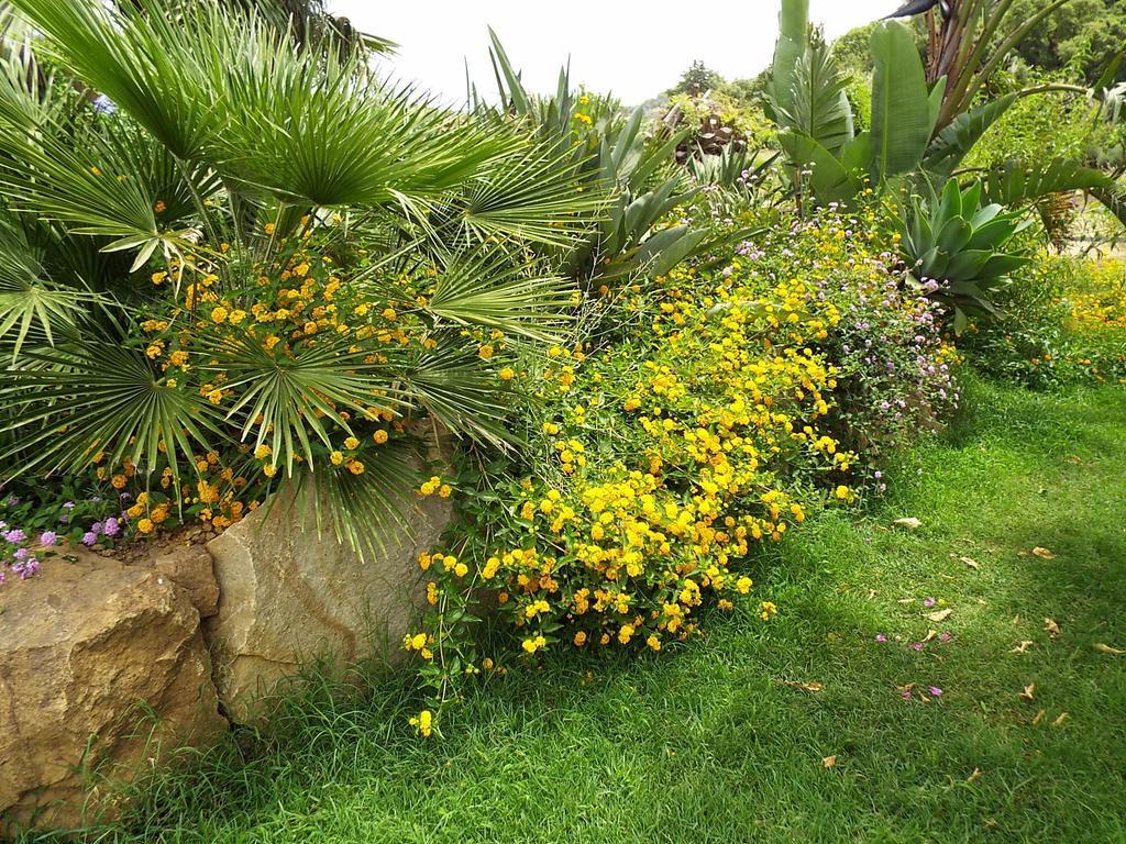 Turismo Rurale تْشيفالو المظهر الخارجي الصورة
